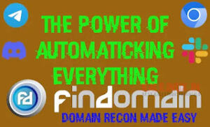 Findomain on Kali Linux