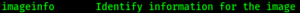 imageinfo plugin's description volatility