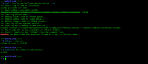 Ollama services installed and activated on Kali Linux