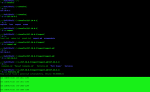 autorecon finds vulnerabilities autorecon finds vulnerabilities