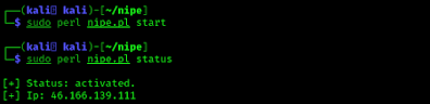 Nipe started and status on Kali Linux