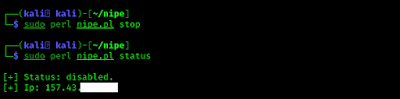 NIPE stop & status in Kali Linux