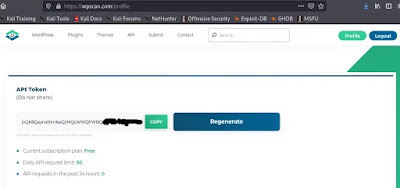 API token in WPScan