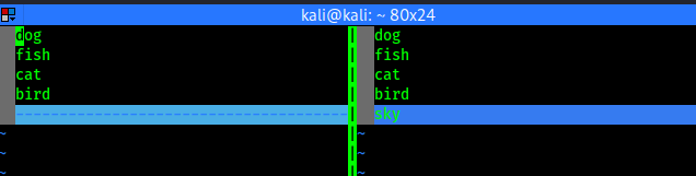 vimdiff comparing files vimdiff comparing files