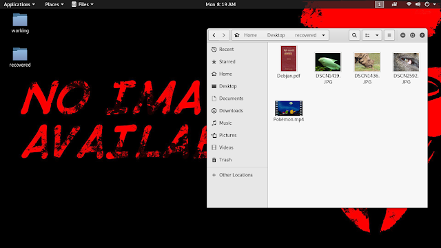 recoverd deleted files on kali linux