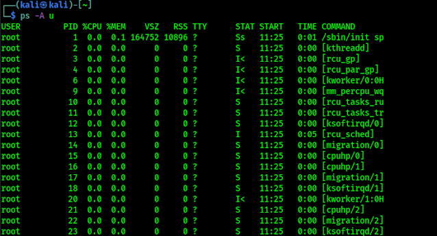 processing on Linux processing on Linux
