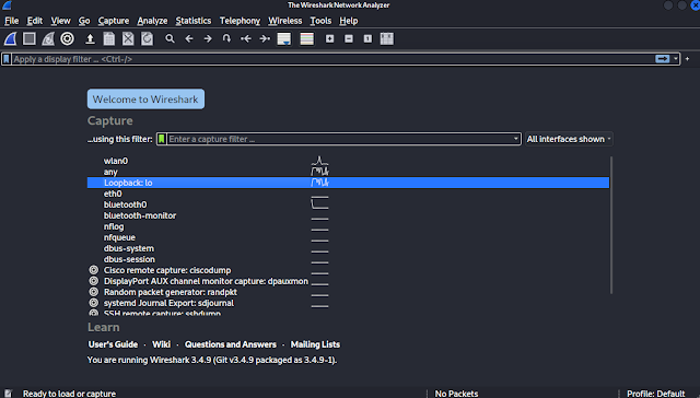 wireshark taffic analysis wireshark taffic analysis