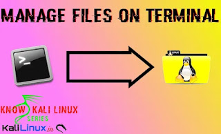 manage files from terminal manage files from terminal