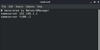 kali default DNS kali default DNS