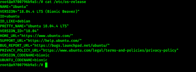Ubuntu in docker Ubuntu in docker