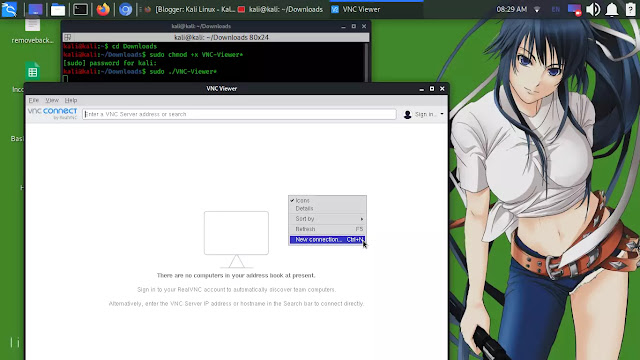 VNC Viewer in Kali Linux VNC Viewer in Kali Linux
