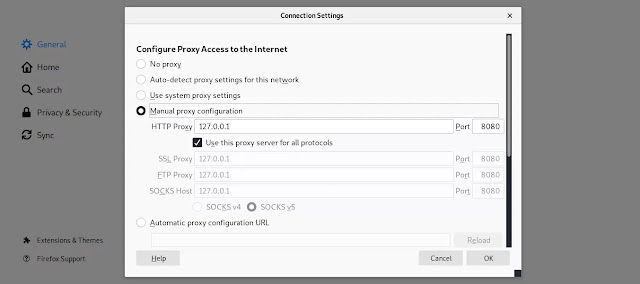 configuring browser for burp configuring browser for burp
