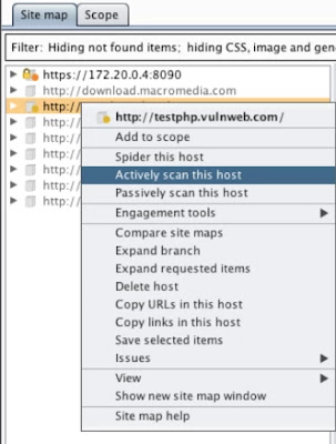 scanning a whole domain in burp suite scanning a whole domain in burp suite