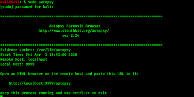 sudo autopsy sudo autopsy