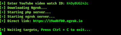 ngrok link ngrok link