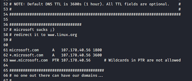 etter.dns file configuring big