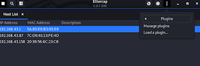 plugins in ettercap