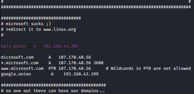 pointing a domain name to our localhost
