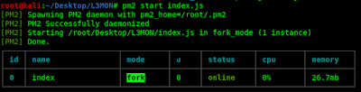 starting the instance starting the instance