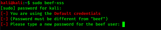 setting up a new password for beef setting up a new password for beef