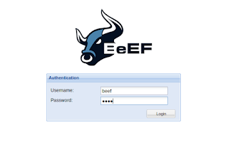 BeEF log in page BeEF log in page