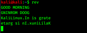rev reversed text rev reversed text