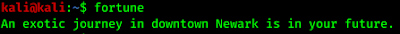 fortune teller in linux command line terminal
