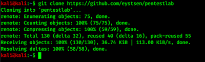 clonning pentestlab on our system clonning pentestlab on our system