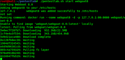 downloading webgoat8 docker image on local machine downloading webgoat8 docker image on local machine