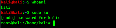 granting access sudo su granting access sudo su
