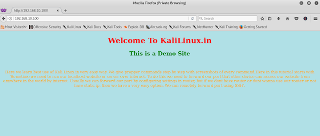 demo localhost website demo localhost website