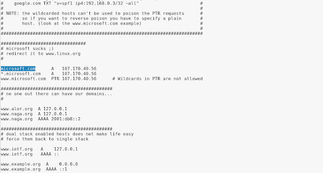 etter.dns target etter.dns target