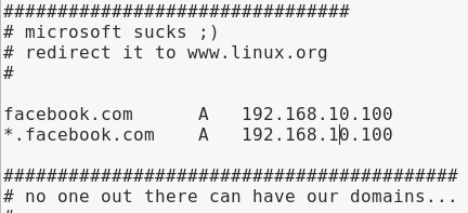 etter.dns setting etter.dns setting