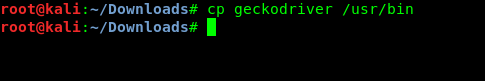 coping geckodriver to /usr/bin coping geckodriver to /usr/bin