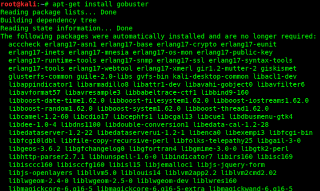 installing gobuster in kali linux
