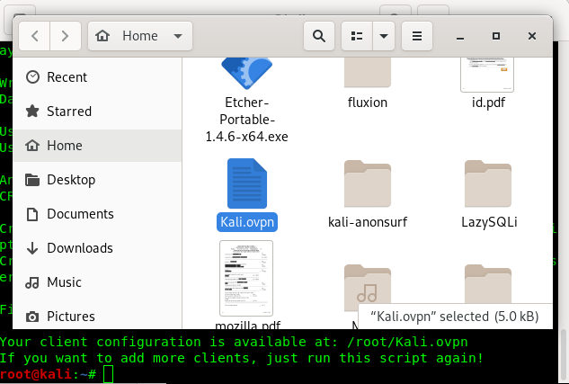 OpenVPN config file OpenVPN config file