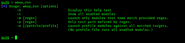 wmap_run help options wmap_run help options