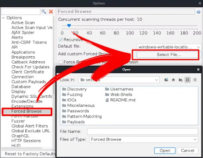 Custom forced directory wordlists Custom forced directory wordlists