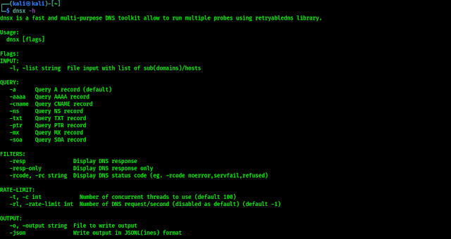 dnsx help options on kali linux dnsx help options on kali linux