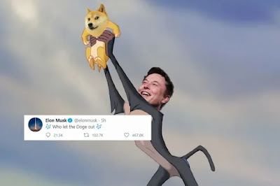 Elon Musk DOGE meme Elon Musk DOGE meme
