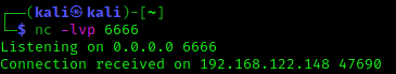 got linux shell using netcat
