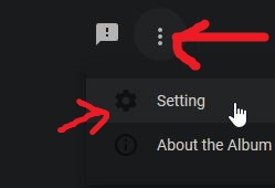 google album archive settings