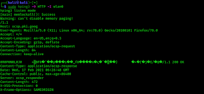 hping3 packet capturing hping3 packet capturing