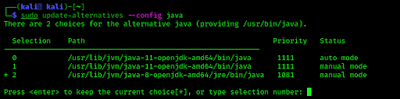 Java version 8 selecting on Kali Linux Java version 8 selecting on Kali Linux