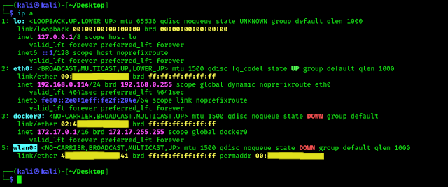 network interfaces on Kali Linux system network interfaces on Kali Linux system