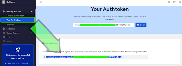 ngrok authentication command