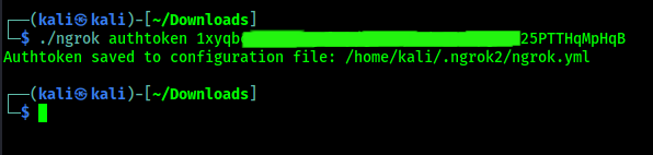 ngrok authentication command