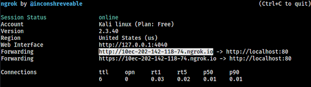 ngrok is running