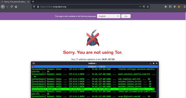 proxychains used with tor on Kali Linux proxychains used with tor on Kali Linux
