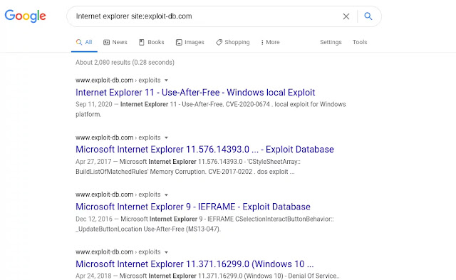 Searching Google for exploits Searching Google for exploits
